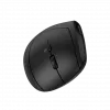 Mouse CANYON MW-25 Ergonomic LED AA Dual mode Wireless Black