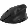 Mouse CANYON MW-25 Ergonomic LED AA Dual mode Wireless Black