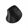 Mouse CANYON MW-25 Ergonomic LED AA Dual mode Wireless Black
