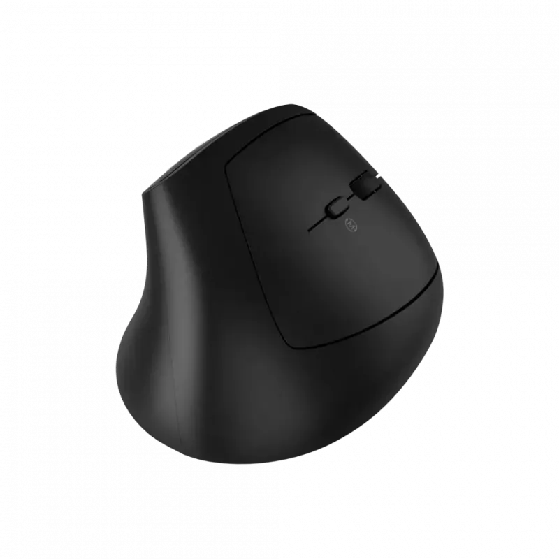 Mouse CANYON MW-25 Ergonomic LED AA Dual mode Wireless Black