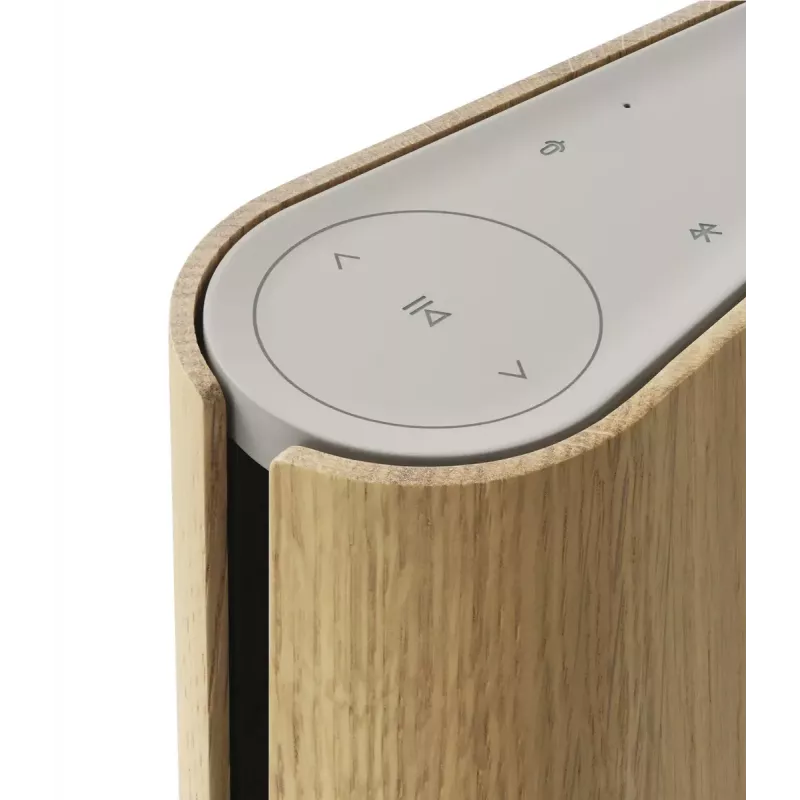 Portable Speaker Bang & Olufsen Beosound Emerge Brown