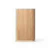 Portable Speaker Bang & Olufsen Beosound Emerge Brown