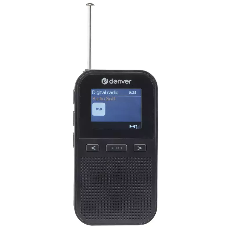 Personal Radio Denver DAH-126 Analog Digital DAB FM 10W