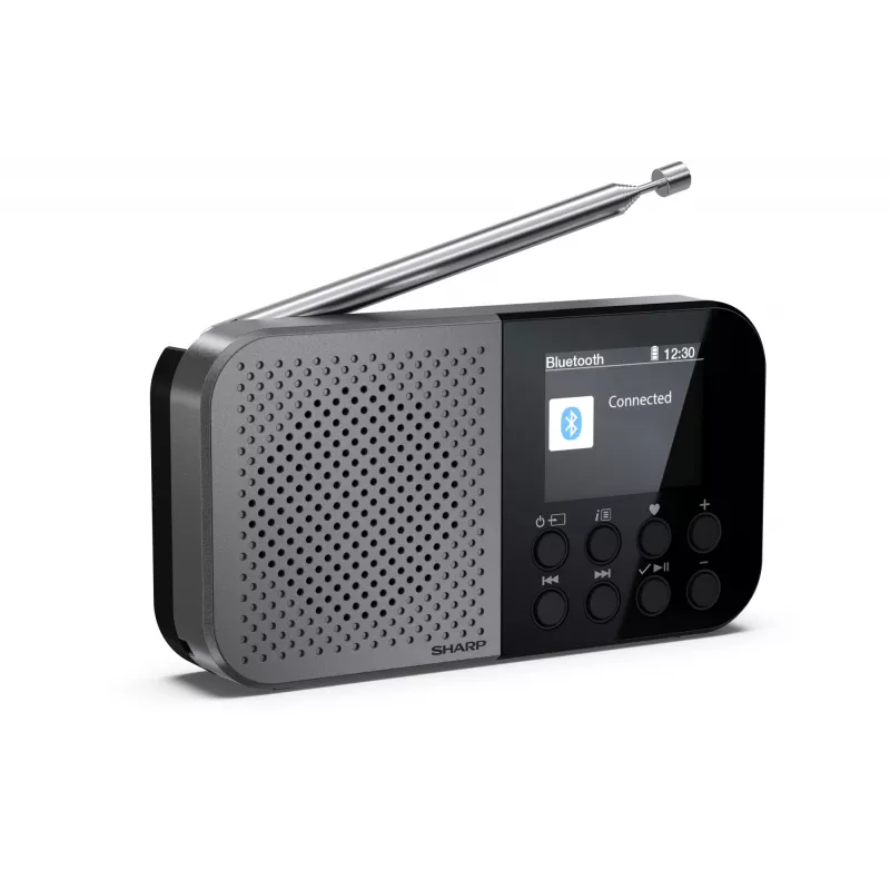 Personal Radio Sharp DR-P520 Digital Tuner DAB DAB+ FM