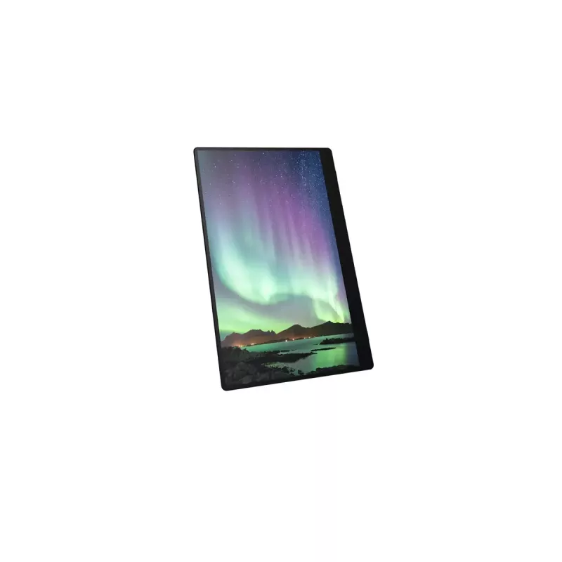 Portable monitor Ricoh Portable Monitor 150 15.6 inch LED 1920 x 1080