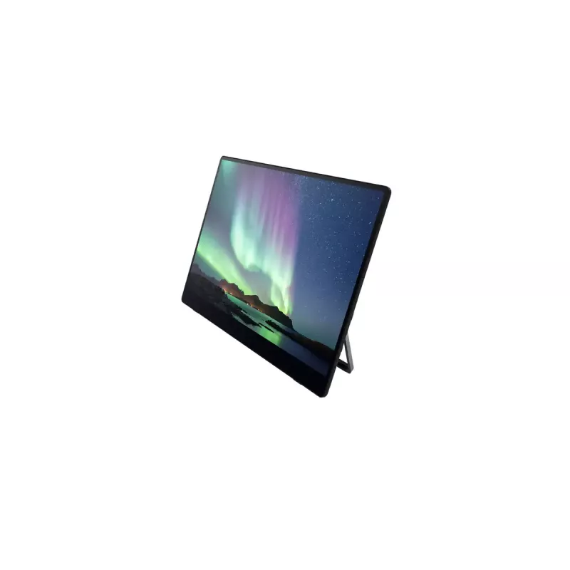 Portable monitor Ricoh Portable Monitor 150BW 15.6 inch LED 1920 x 1080