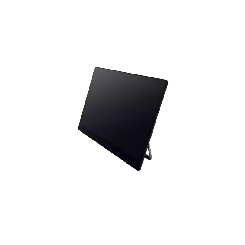 Portable monitor Ricoh Portable Monitor 150BW 15.6 inch LED 1920 x 1080