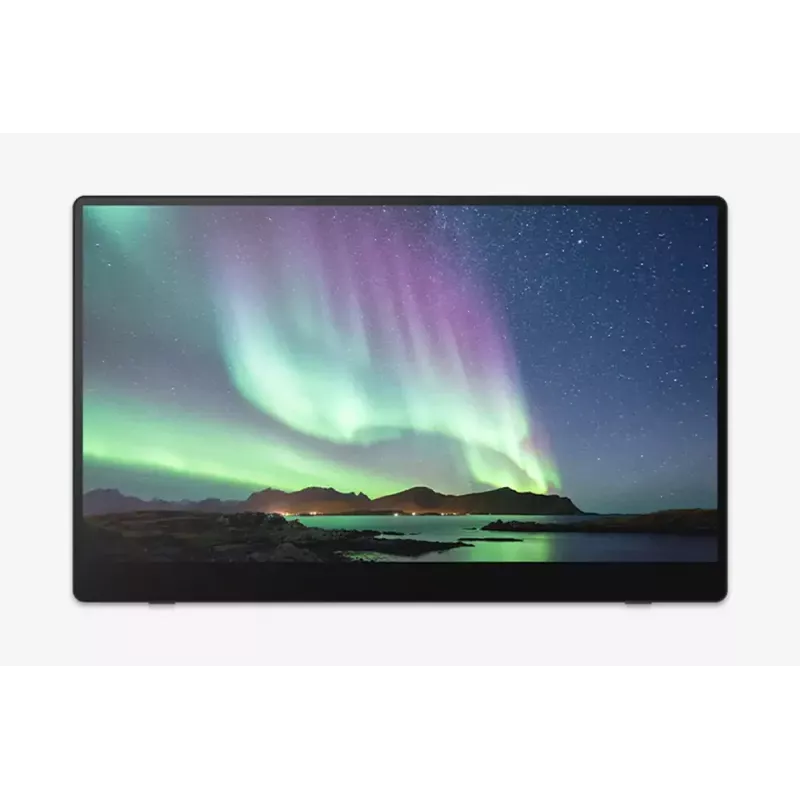 Portable monitor Ricoh Portable Monitor 150BW 15.6 inch LED 1920 x 1080