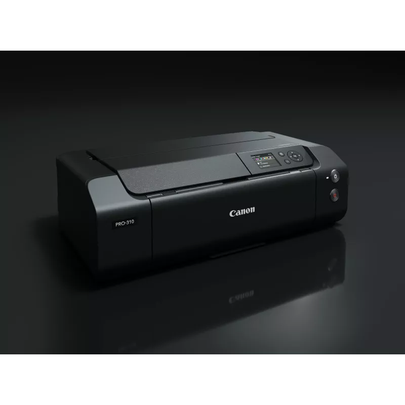 Canon imagePROGRAF PRO-310 inkjet printer Colour 4800 x 2400 DPI A3+ Wi-Fi