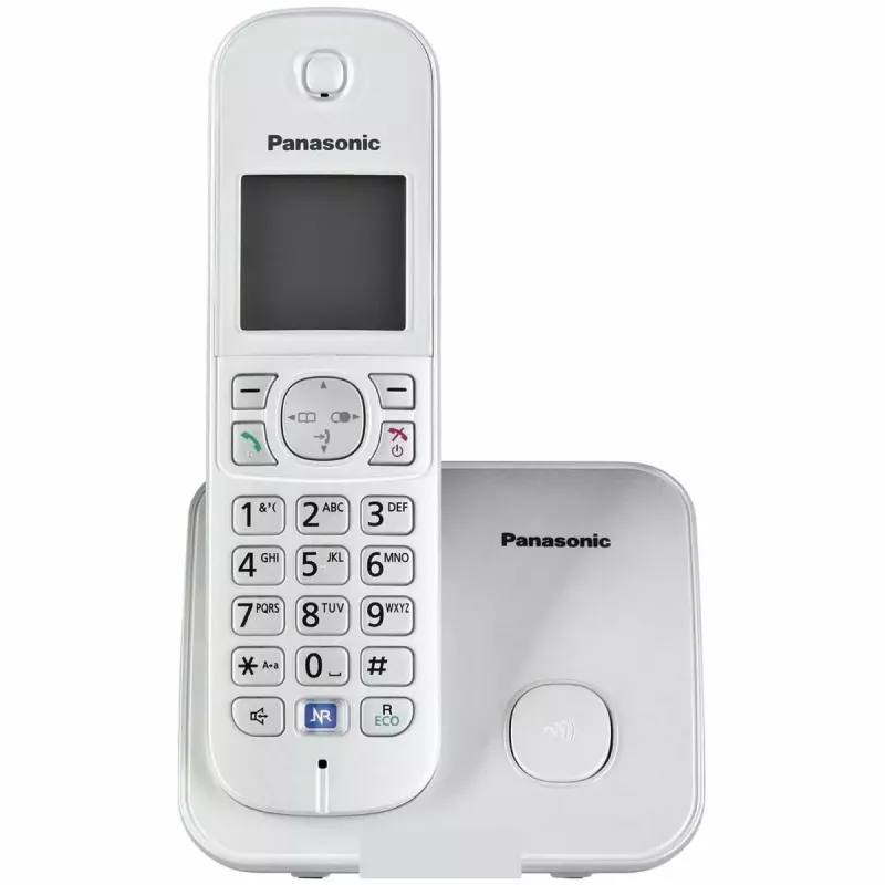 DECT telephone Panasonic KX-TG6811GS