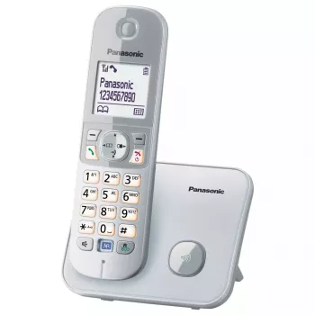 DECT telephone Panasonic KX-TG6811GS