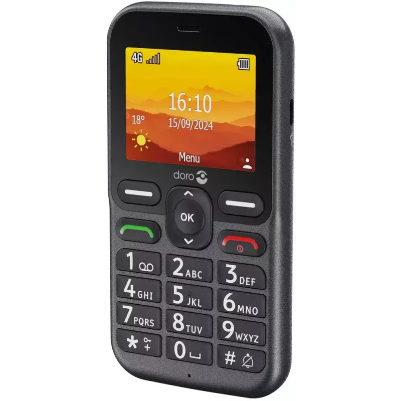 Smartphone Doro Leva L10, 6.1 inch, 32GB, graphite