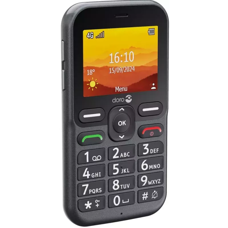 Smartphone Doro Leva L10, 6.1 inch, 32GB, graphite