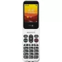 Mobile phone Doro Leva L30 2.4 inch