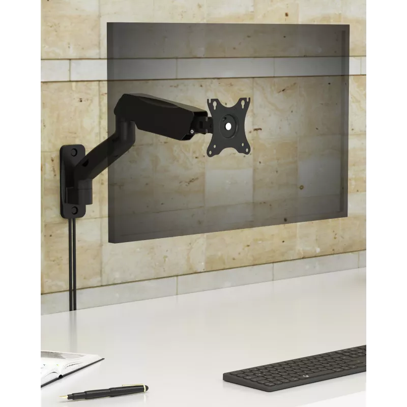 ICY BOX IB-MS103-W 81.3 cm (32 inch) Wall Black