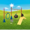 schleich Farm Life Puppy Agility Training, Farm World, 3 yr(s), Multicolour