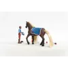 schleich HORSE CLUB Sofia’s Beauties Starter Set Leo & Rocky Multicolour