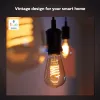 Smart bulb Philips 1-pack G93 E27 Filament