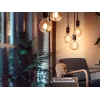 Smart bulb Philips 1-pack G93 E27 Filament
