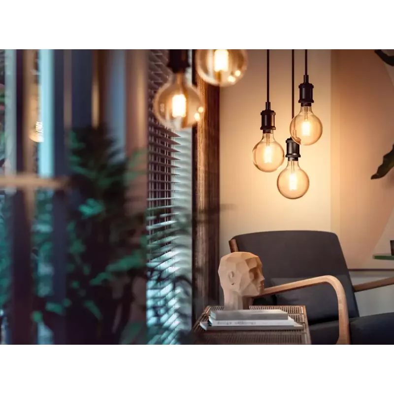 Smart bulb Philips 1-pack G93 E27 Filament