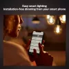 Smart bulb Philips 1-pack G93 E27 Filament
