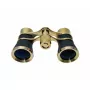 Braun 3 x 25 Opera binocular BK-7 Black, Gold