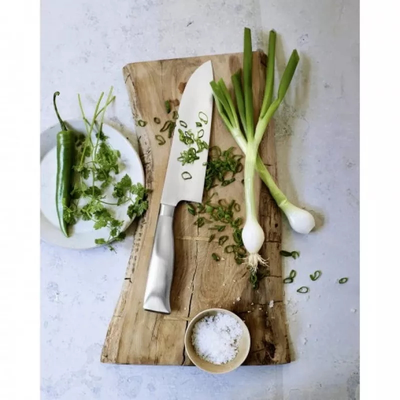 WMF 1880426032 Stainless steel 1 pc(s) Chopper knife
