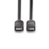 Lindy 0.5m DisplayPort 1.2 Cable, Black Line