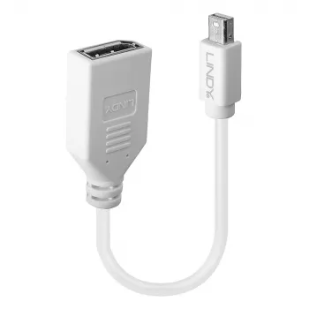 Lindy 0.20m Mini DisplayPort to DisplayPort Adapter Cable, 0.15 m, Mini DisplayPort, DisplayPort, Male, Female, White