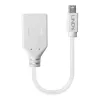 Lindy 0.20m Mini DisplayPort to DisplayPort Adapter Cable, 0.15 m, Mini DisplayPort, DisplayPort, Male, Female, White