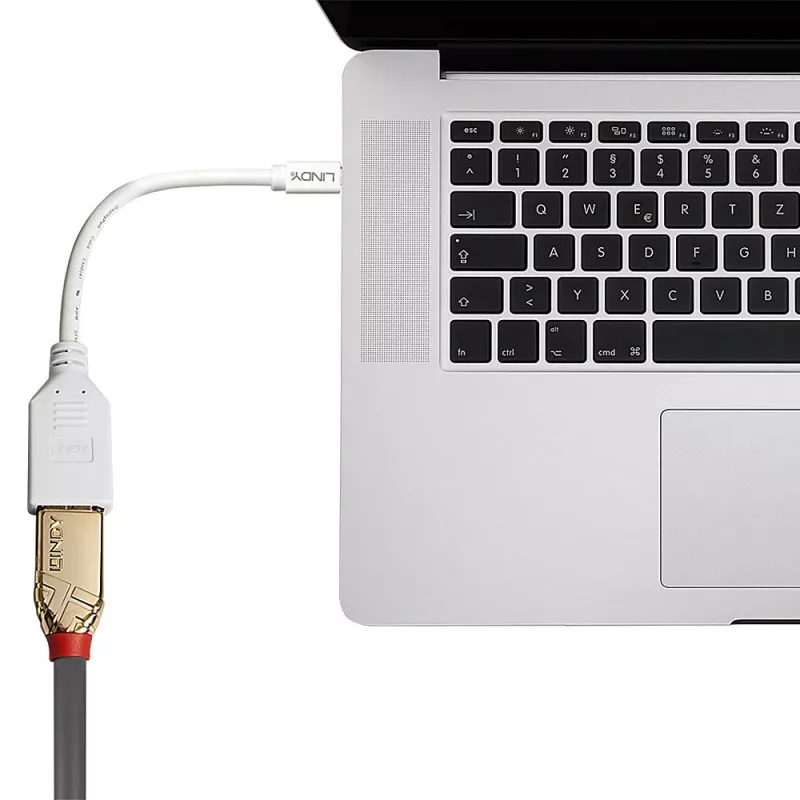 Lindy 0.20m Mini DisplayPort to DisplayPort Adapter Cable, 0.15 m, Mini DisplayPort, DisplayPort, Male, Female, White