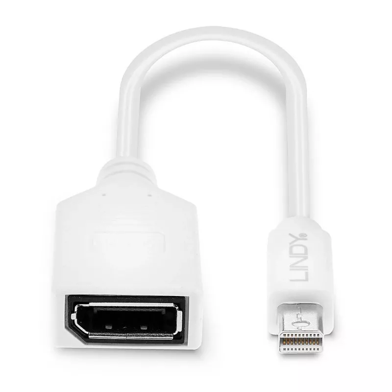 Lindy 0.20m Mini DisplayPort to DisplayPort Adapter Cable, 0.15 m, Mini DisplayPort, DisplayPort, Male, Female, White
