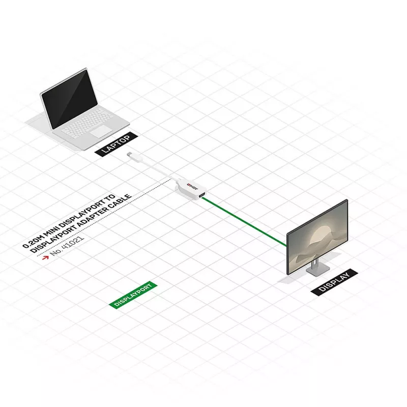 Lindy 0.20m Mini DisplayPort to DisplayPort Adapter Cable, 0.15 m, Mini DisplayPort, DisplayPort, Male, Female, White