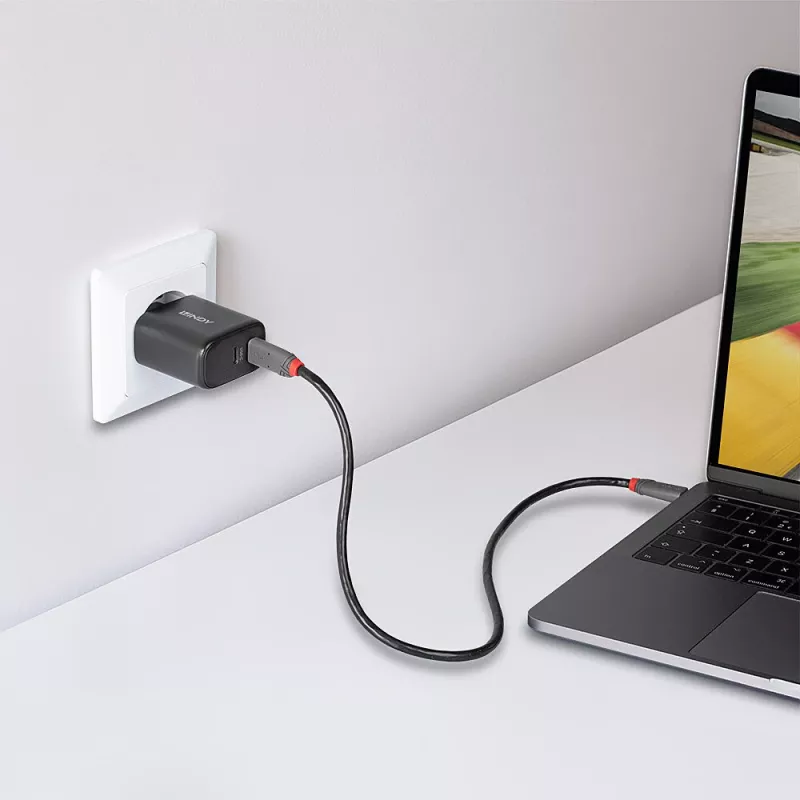 Lindy 65W USB 2 x Type C GaN Charger 73438