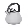 Electric kettle RESTO 2.7 L 2200 W, grey housing, black handle