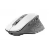 Trust Ozaa mouse Office Right-hand RF Wireless Optical 2400 DPI