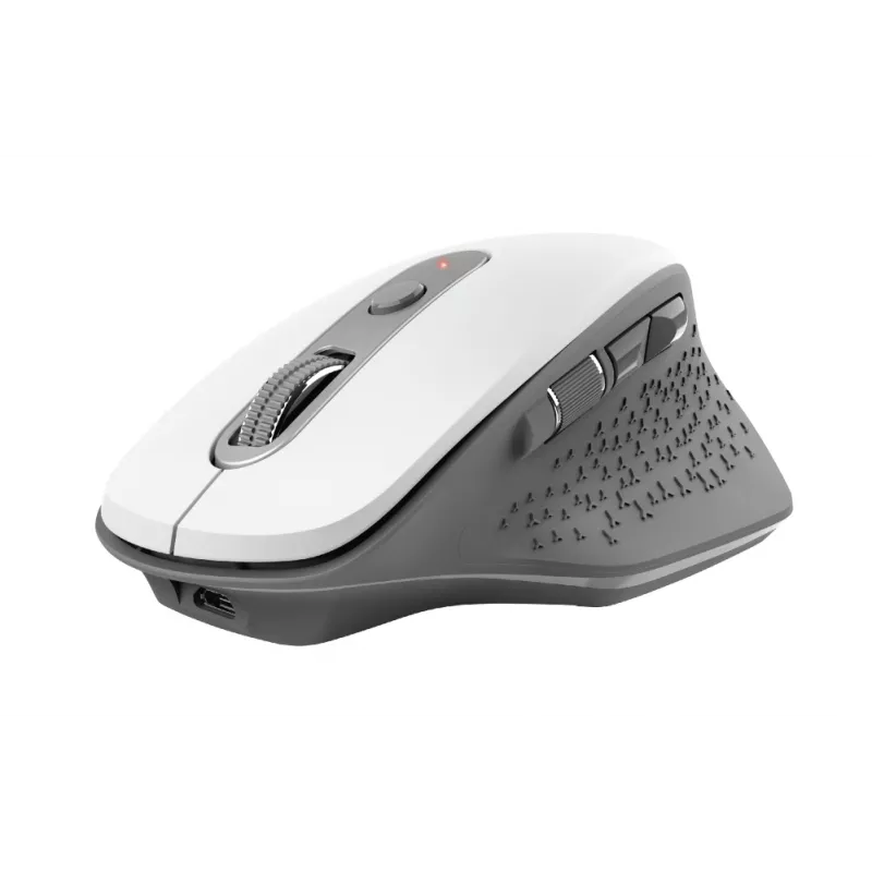 Trust Ozaa mouse Office Right-hand RF Wireless Optical 2400 DPI