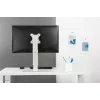Neomounts FPMA-D890WHITE Monitor stand 10-30 inch, Freestanding, 6 kg, 25.4 cm (10 inch), 76.2 cm (30 inch), 100 x 100 mm, White