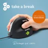 R-Go Tools Ergonomic mouse R-Go HE Break with break software, medium (hand size 165-185 mm), right-handed, Wired, black