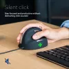 R-Go Tools Ergonomic mouse R-Go HE Break with break software, medium (hand size 165-185 mm), right-handed, Wired, black