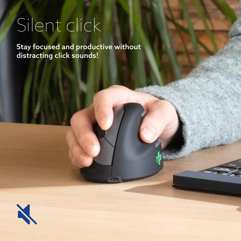 R-Go Tools Ergonomic mouse R-Go HE Break with break software, medium (hand size 165-185 mm), right-handed, Bluetooth, black