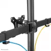 Neomounts monitor desk stand FPMA-D550DD3BLACK Freestanding 6 kg 13-27 inch