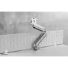 Neomounts NM-D775SILVERPLUS Monitor arm 10-49 inch - gas spring - Topfix - 180°-stop