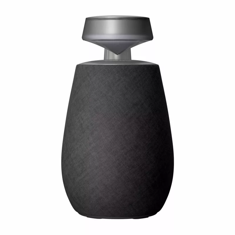 LG XBOOM 360 Mono portable speaker Black 20 W