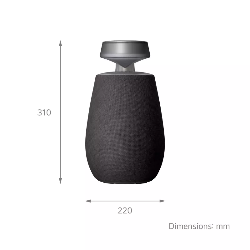 LG XBOOM 360 Mono portable speaker Black 20 W