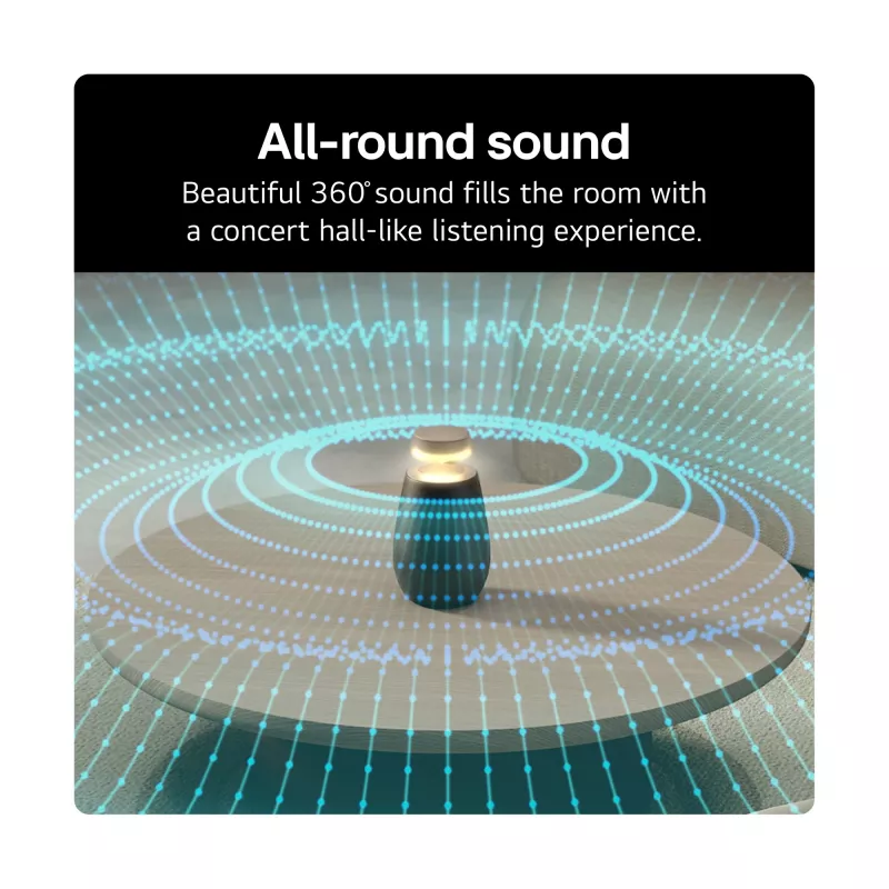 LG XBOOM 360 Mono portable speaker Black 20 W