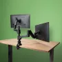 R-Go Tools Monitor arm R-Go Caparo Dual, for two monitors, adjustable with gas spring, 3-9 kg load capacity, 100% circular, black