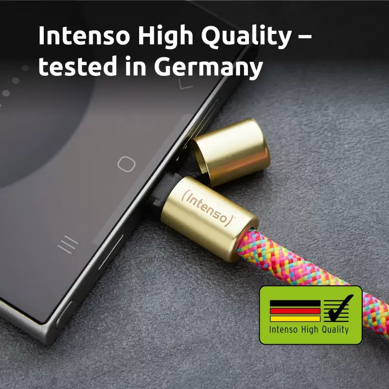 Intenso USB-C Charging Lanyard Phone Necklace Cable 60W Fast Charging Adjustable Length 1.65m Nylon Multicolour