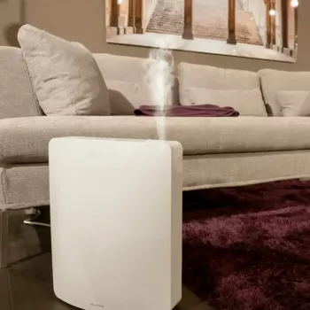 Compact ultrasonic home humidifier Stylies Leonis — quiet operation, fine mist for living rooms, bedrooms and offices