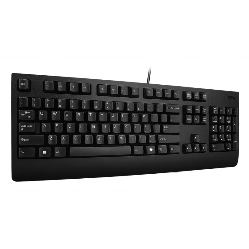 Lenovo 4Y41R64611 keyboard Home/Office USB Finnish, Swedish Black